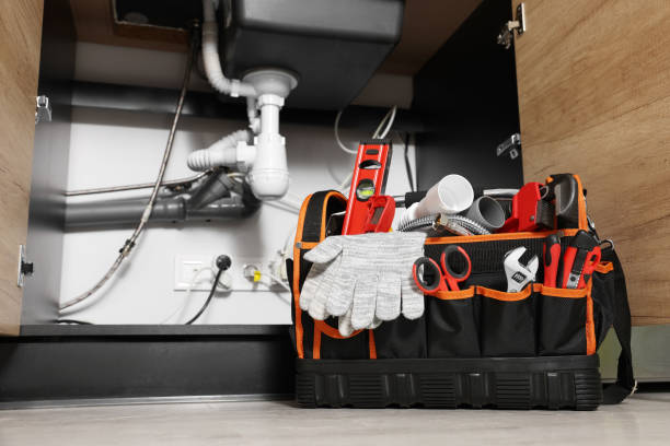 Best Residential Plumbing Services  in Pleasanton, TX